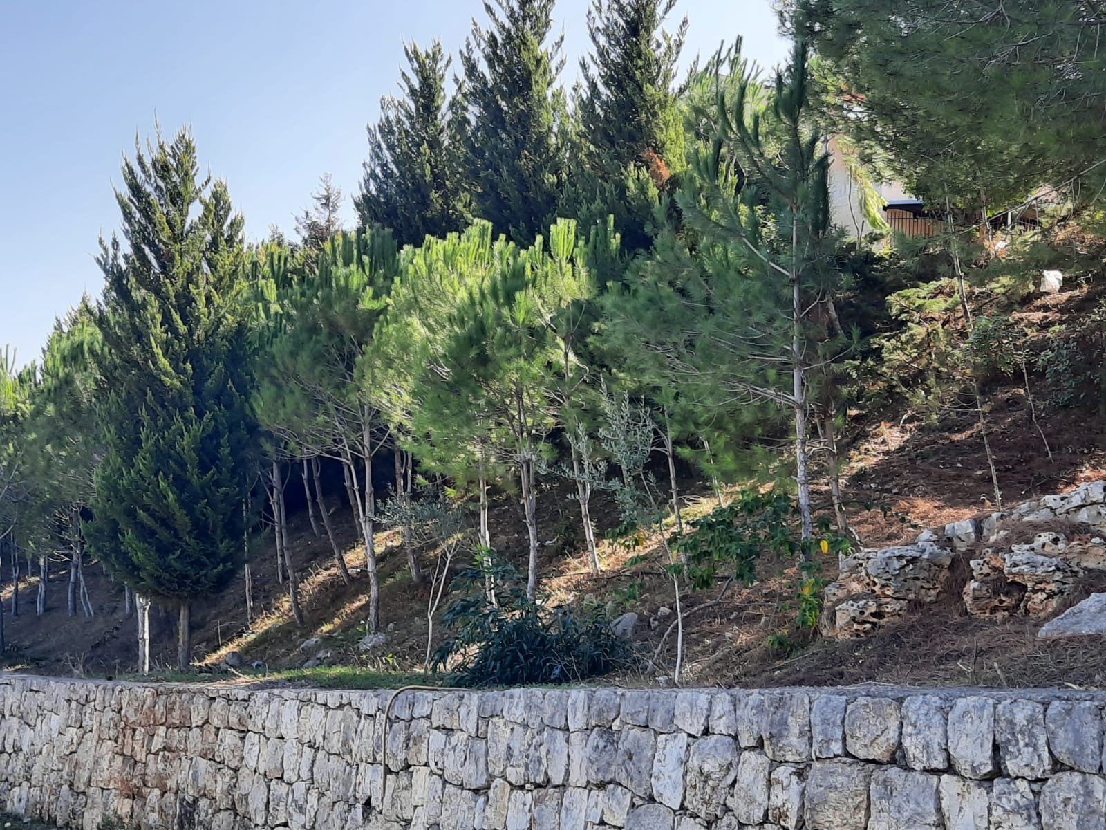 ULF campus environment